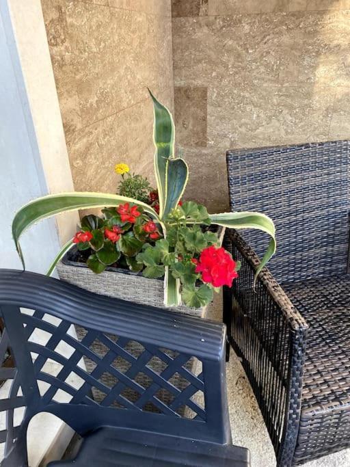 Casa Del Sole - Beautiful Studio In Varna Bulgaria Apartment ภายนอก รูปภาพ